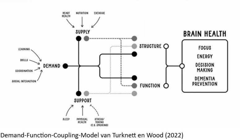 Het Demand-Function-Coupling-Model van Turknett en Woods